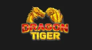 Dragon vs tiger game icon